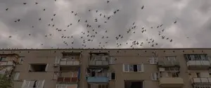 Трегубов рассказал о ситуации в Курахово