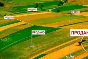 За три з половиною роки продано лише 3,4% земель сільськогосподарського призначення