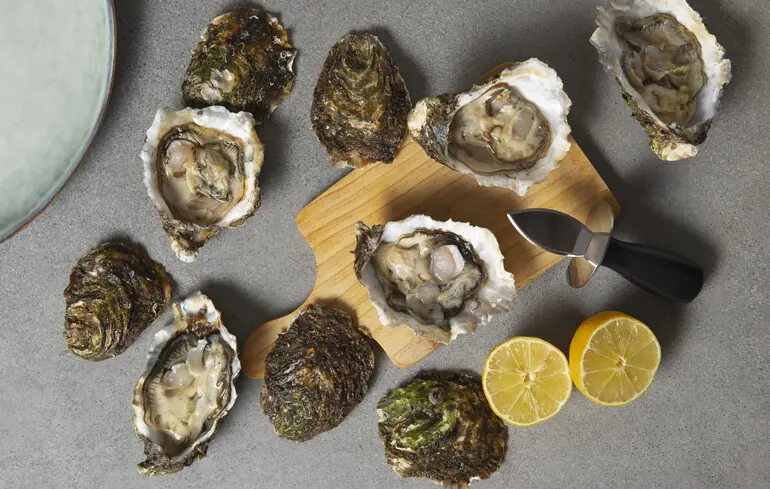 Устриці можуть допомогти у боротьбі з супербактеріями