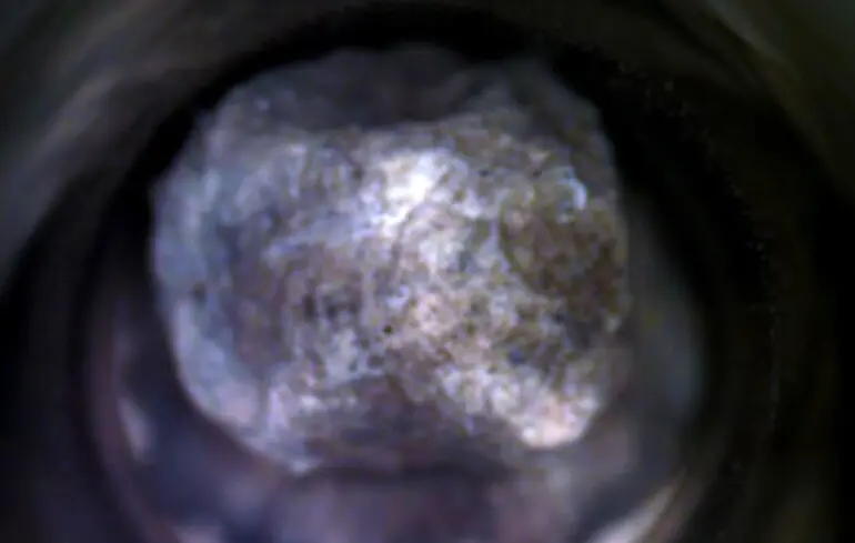 Структуры образца не похожи на на что, что ученые видели до этого