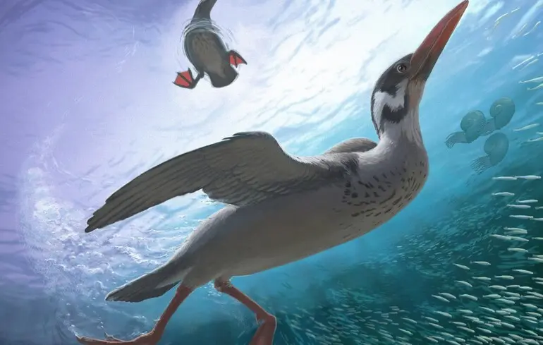 Ученые нашли в Антарктиде череп древней птицы