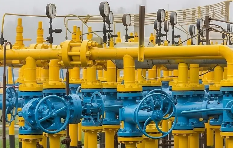 Експерт критикує 