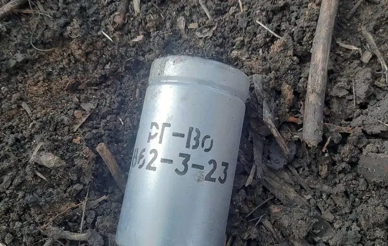 В МИДе выступили с заявлением о нарушении Россией Конвенции о запрещении химического оружия