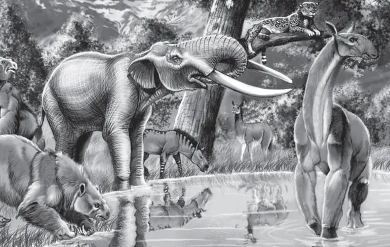 Мегафауна жила Землі на тисячі років довше, ніж вважалося