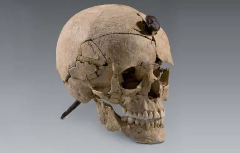 Цвяхи вбивали в черепи, щоб прикріпити їх до стіни