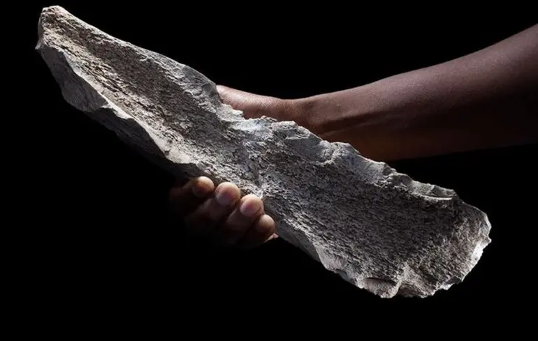 Вчені знайшли кістяні знаряддя віком 1,5 мільйона років