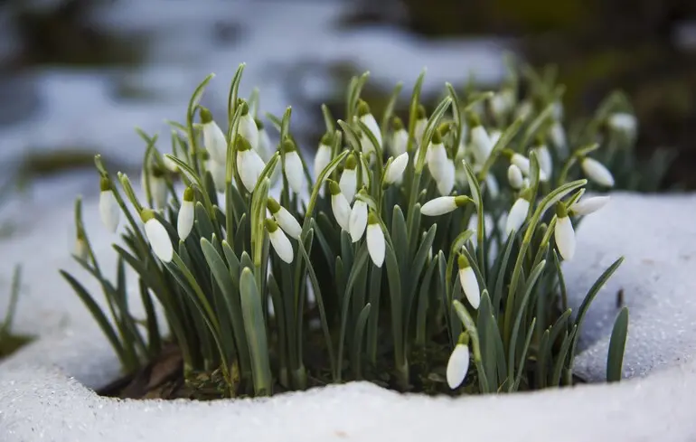 Довгоочікуване тепло: синоптик розповів, якою буде погода 8 березня