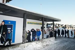 В Гренландии прошли парламентские выборы: что показали результаты голосования