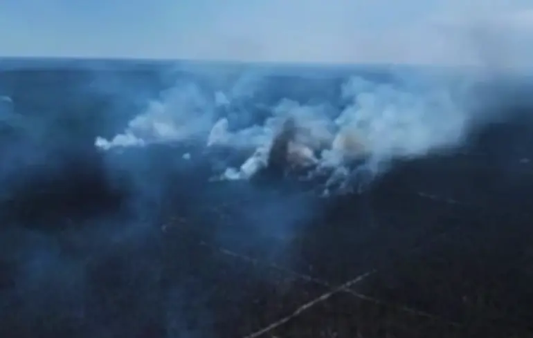 Збитки довкіллю України сягнули майже 85 мільйонів євро і щоденно збільшуються через бойові дії