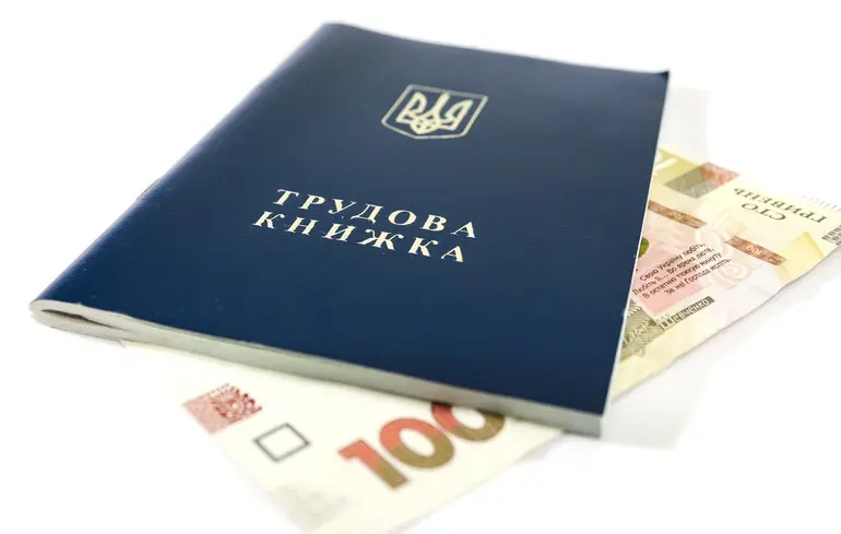 Оцифровка трудовой книжки: как провести проверку документа