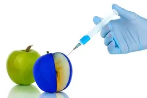 Реестр ГМО заработает в Украине уже в следующем году