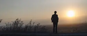 Rise, And Don't Look Back