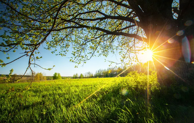 Як відпочиватимуть українці у травні: чи будуть додаткові вихідні