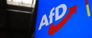 Майже половина німців підтримують заборону екстремістської AfD — опитування