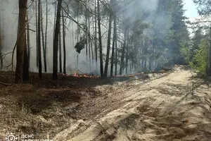 На Харківщині спалахнули масштабні лісові пожежі: детонують боєприпаси, готується евакуація населення