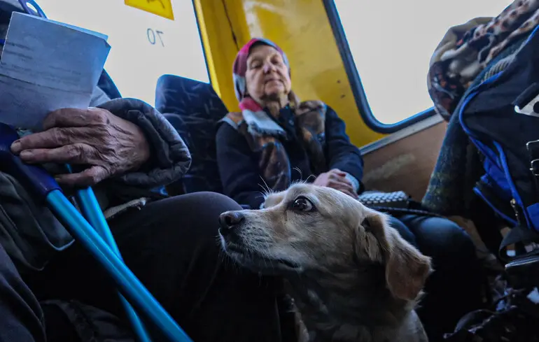 Власти призвали жителей двух городов в Сумской области срочно эвакуироваться