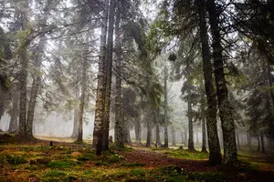 НАПК подытожило проверку 