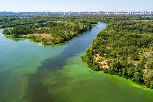 Хто забруднює річку Дніпро в Києві — і як зупинити екологічну катастрофу
