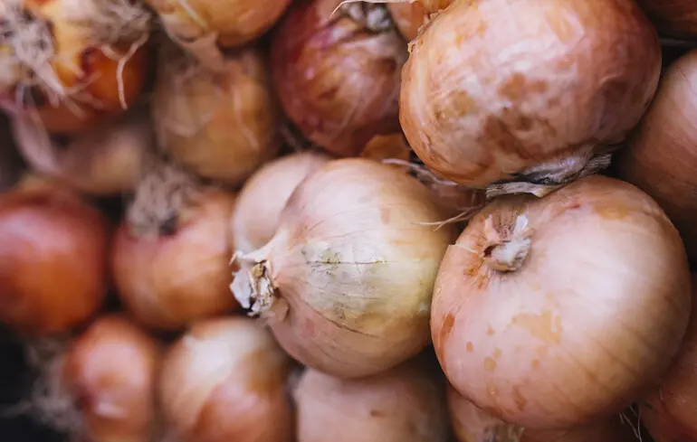 В Україні подешевшала цибуля