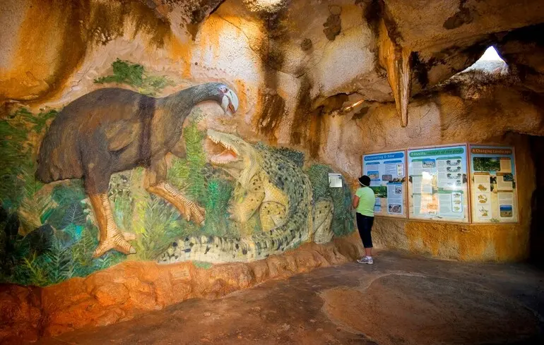 Палеонтологи з’ясували, який птах був древнім предком гусей