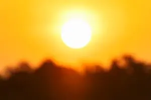 Температурные рекорды 2024 года будут снова побиты — метеорологи