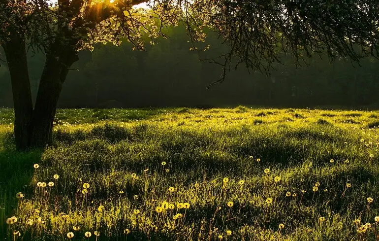 Теплый июнь, жаркий июль: синоптик рассказал, каким будет лето 2025 