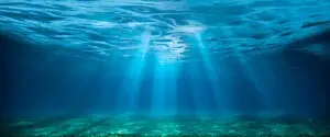 Океану бракує світла: вчені пояснили, як це вплине на морських мешканців