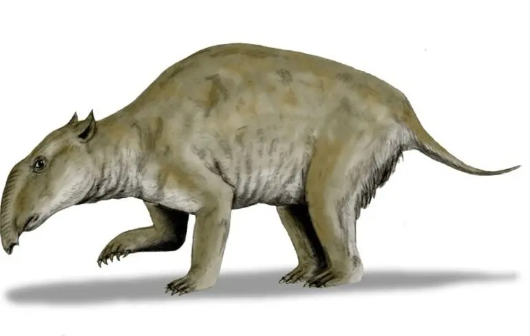Вимерлий вомбат розміром з бегемота (Zygomaturus trilobus)