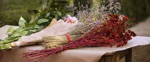 Зеленые праздники: приметы и запреты