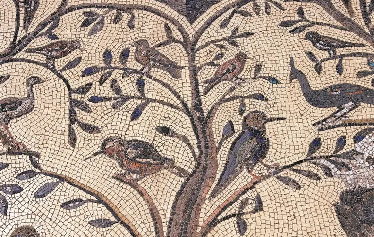 Римляни їли співочих пташок замість фастфуду — дослідження