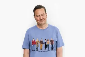 Один из подозреваемых в поставках кетамина Мэттью Перри признал свою вину