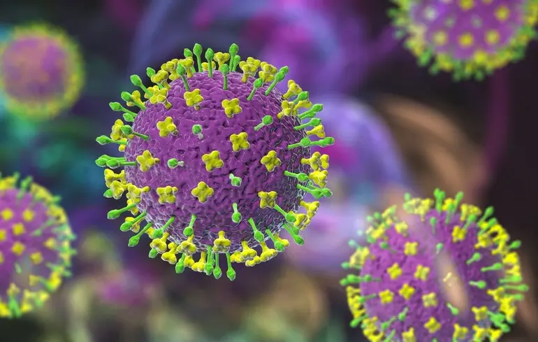 У Китаї знайшли десятки нових патогенних вірусів