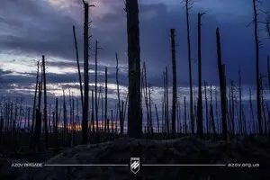 Оккупанты прощупывают оборону ВСУ в Серебрянском лесу — военный