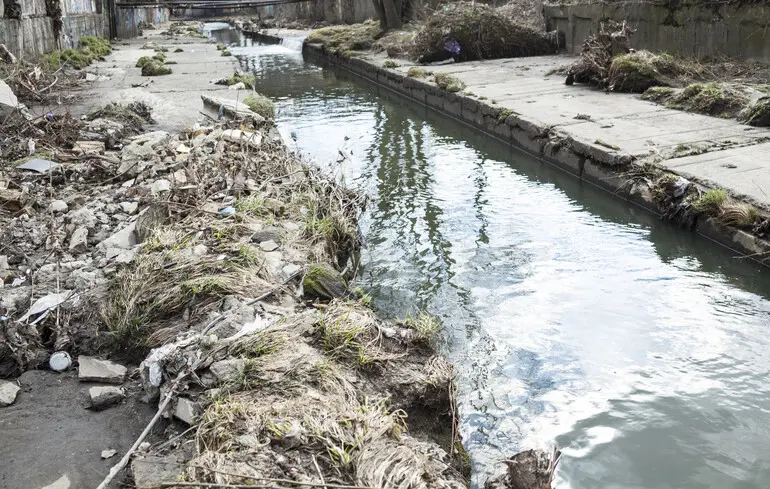 «Природа в мегаполисе». Нужна ли нам река Лыбедь?