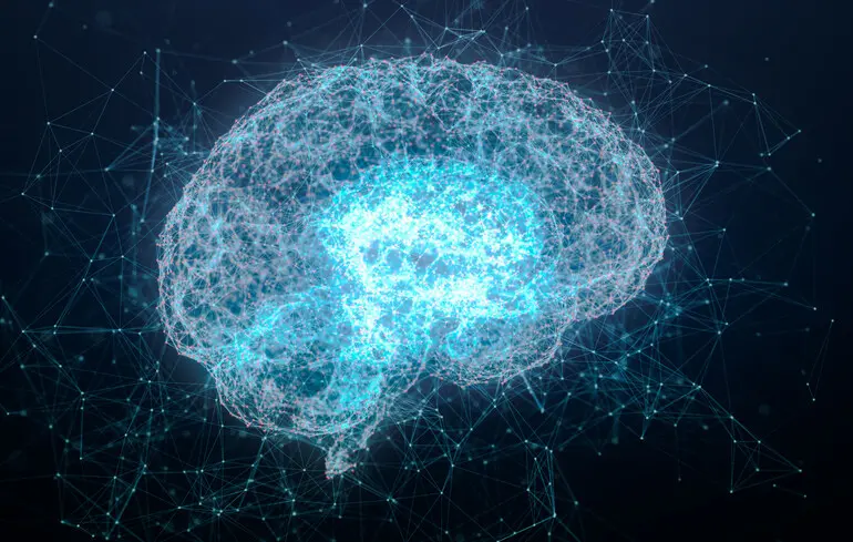 Чи може мозок дорослого відновлюватися? Дослідники відкрили нову сторінку нейронауки