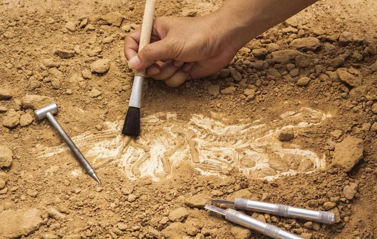 Археологи відкрили новий розділ в історії Британії: знахідка дала змогу дізнатися про дві забуті епохи