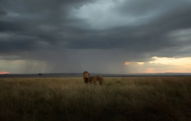 Фото иллюстративное