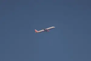 Самая смертоносная авиакатастрофа: о чем говорится в предварительном отчете о падении самолета Air India