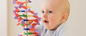 Младенцев можно защитить от некоторых тяжелых генетических болезней родителей — ученые