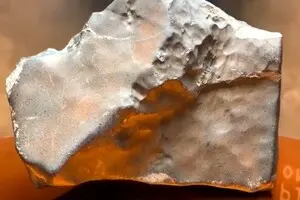 Значительно дороже, чем ожидалось: на аукционе продали самый большой в мире камень с Марса