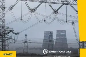 Пожар вблизи Энергодара: дым от лесного пожара достиг района Запорожской АЭС