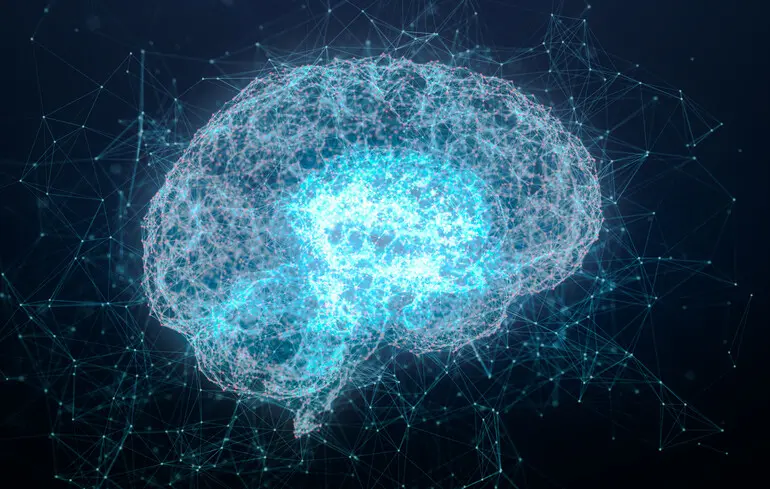 Рівень IQ не впливає на успіх: нейробіолог назвав головну рису високоінтелектуальних людей