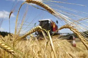 Агробизнес в Украине растет: на одну закрытую компанию приходится 2,5 новых