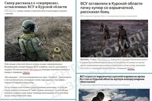ЦПД: у россиян новая идея дискредитации ВСУ — заминированные зайцы и коты