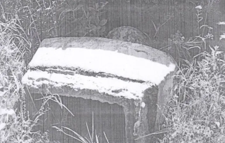 Демонтировали последний в Украине памятник Ленину