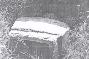 Демонтировали последний в Украине памятник Ленину