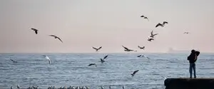На пляжах в Одесской области три человека подорвались на минах