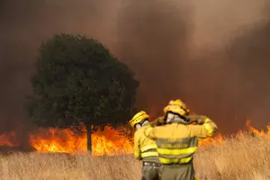 В Испании лесные пожары заставили эвакуировать более 1,6 тысяч человек