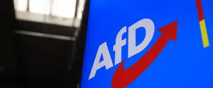 Ультраправая AfD выходит в лидеры в Германии — опрос