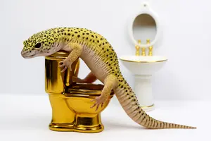 Золотий унітаз і моральне зубожіння